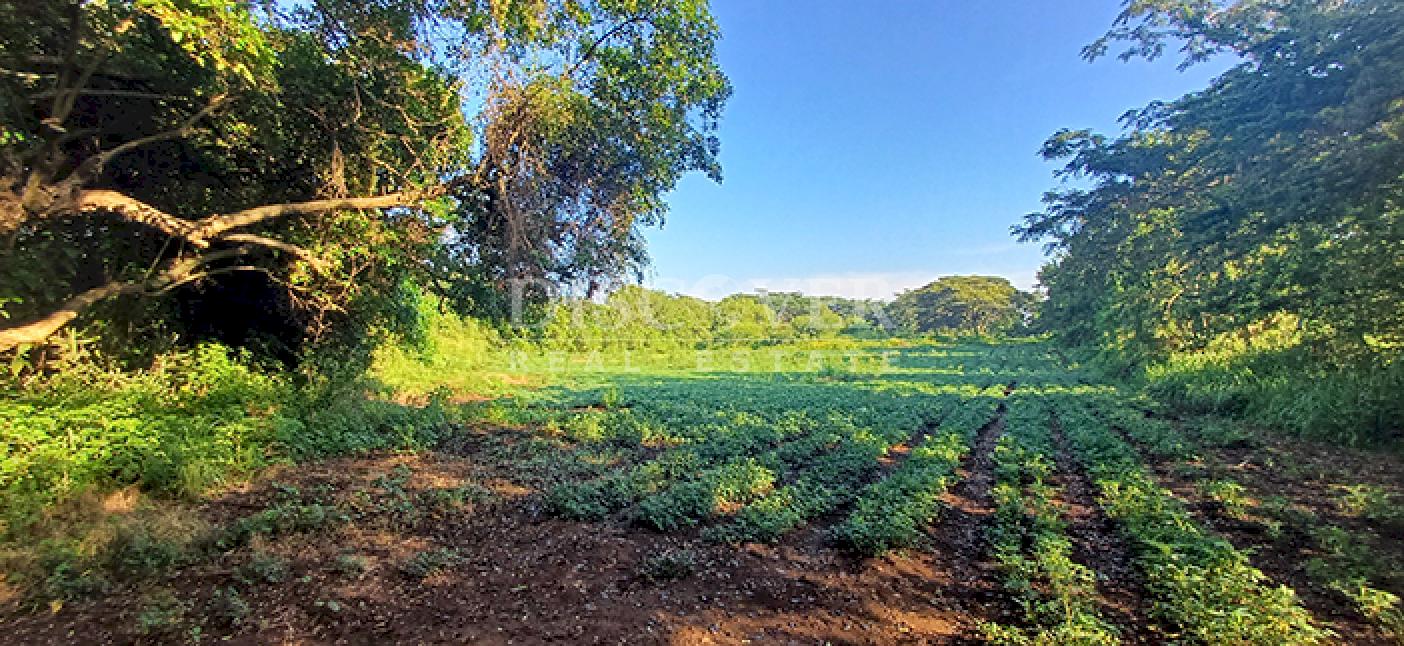 Agricultural property for sale in Altos de Masaya