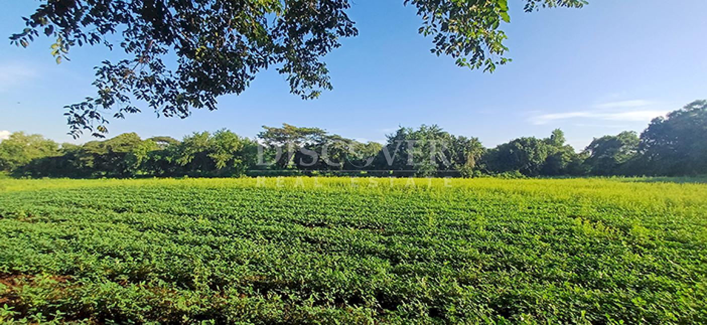 Agricultural property for sale in Altos de Masaya