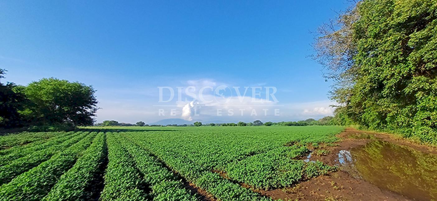 Agricultural property for sale in Altos de Masaya