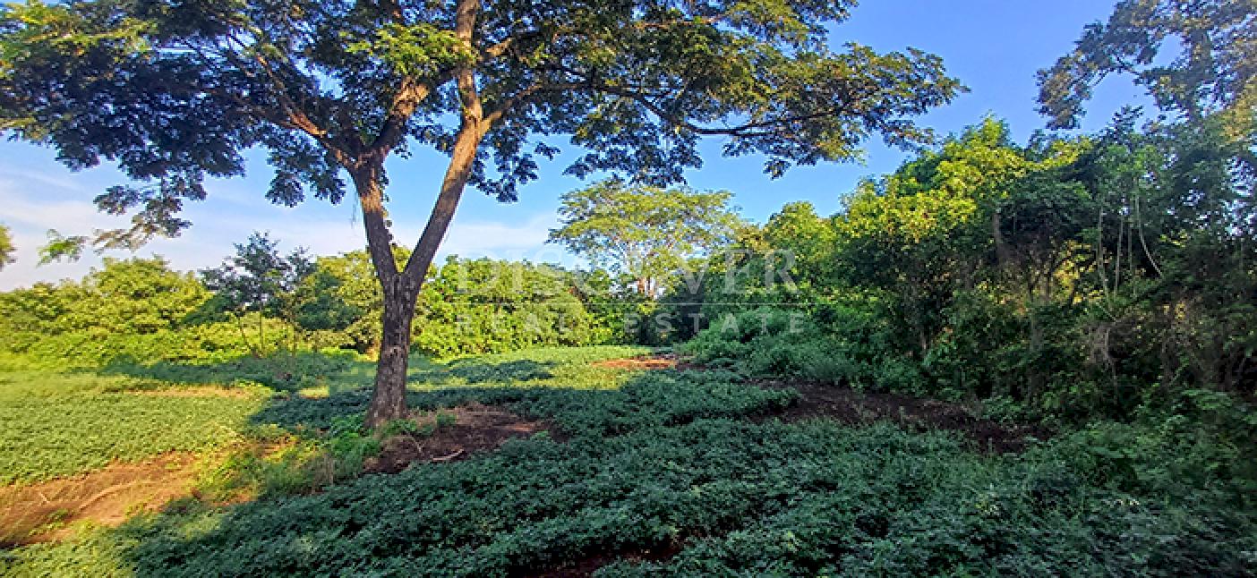 Agricultural property for sale in Altos de Masaya