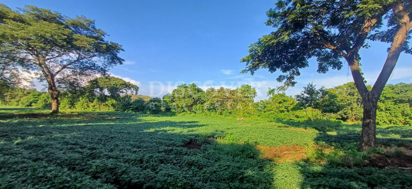 Agricultural property for sale in Altos de Masaya