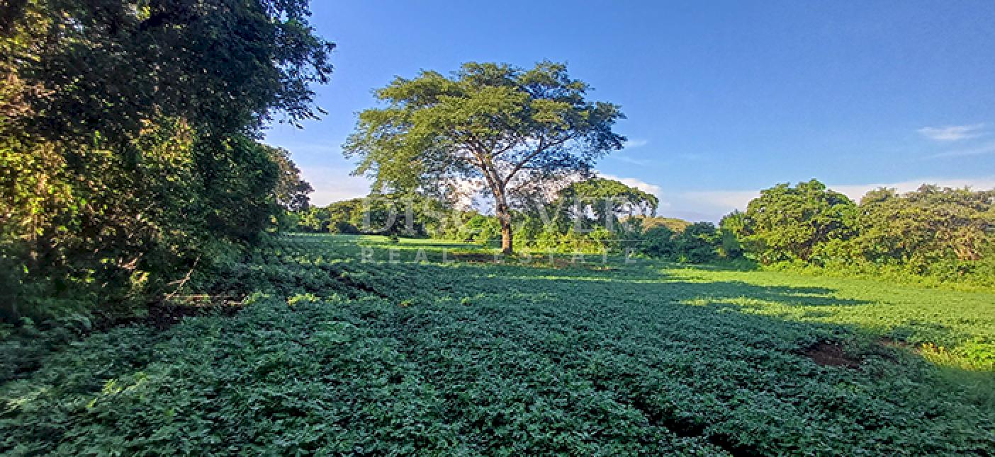 Agricultural property for sale in Altos de Masaya