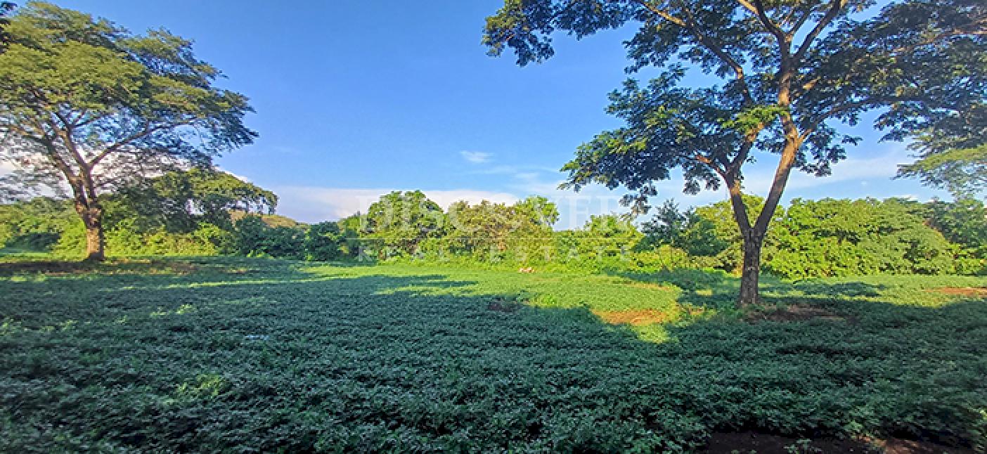 Agricultural property for sale in Altos de Masaya