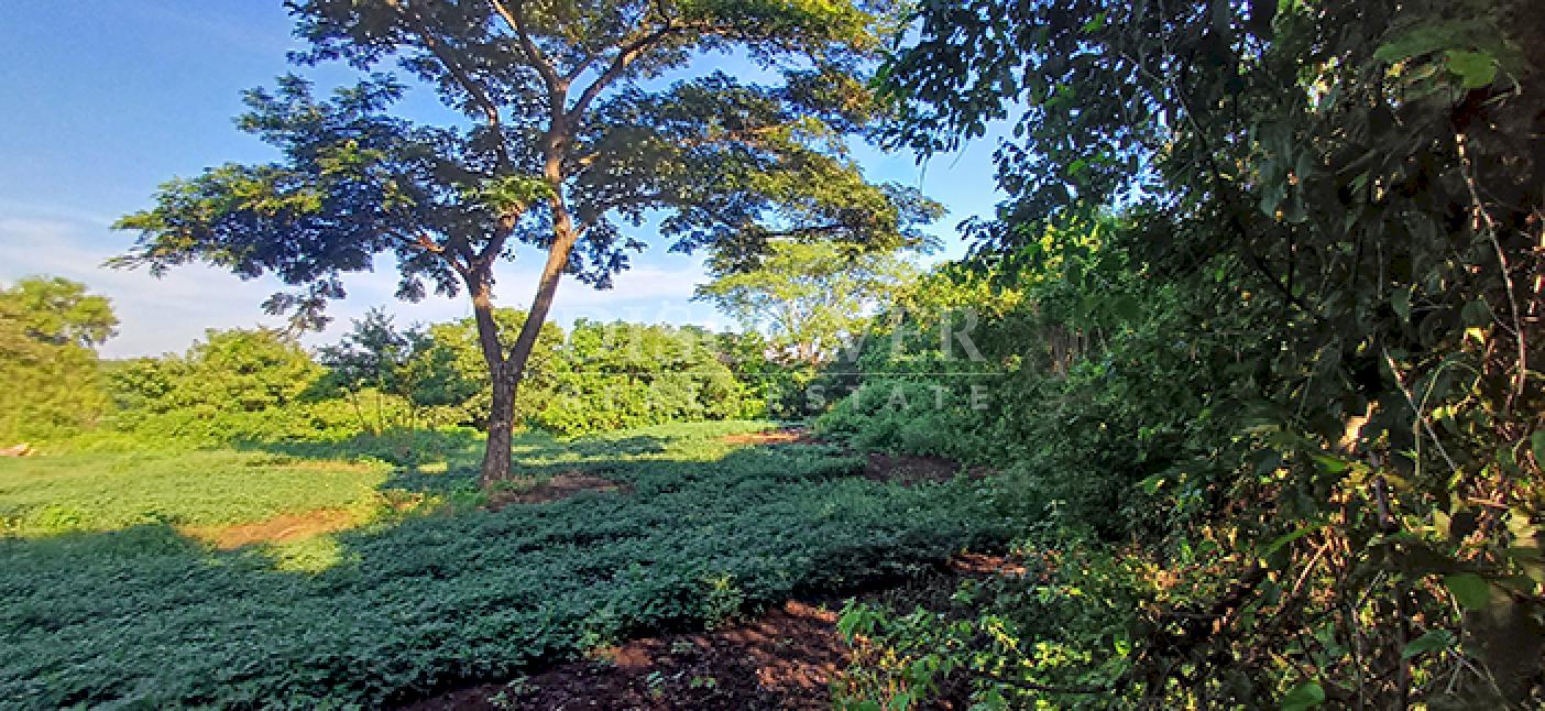 Agricultural property for sale in Altos de Masaya