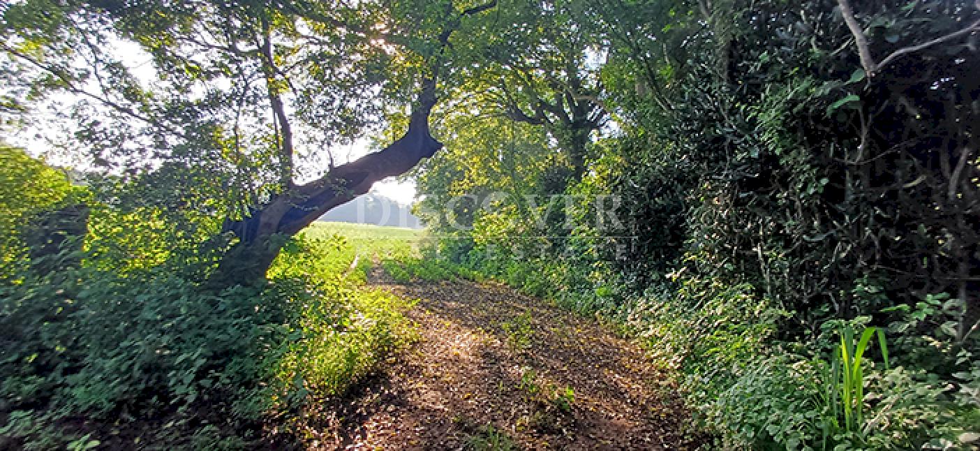 Agricultural property for sale in Altos de Masaya