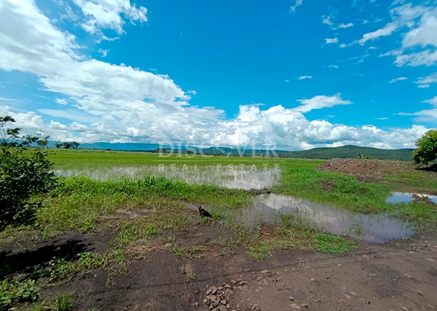  Farm for Sale – Chagüitillo Area, Sébaco