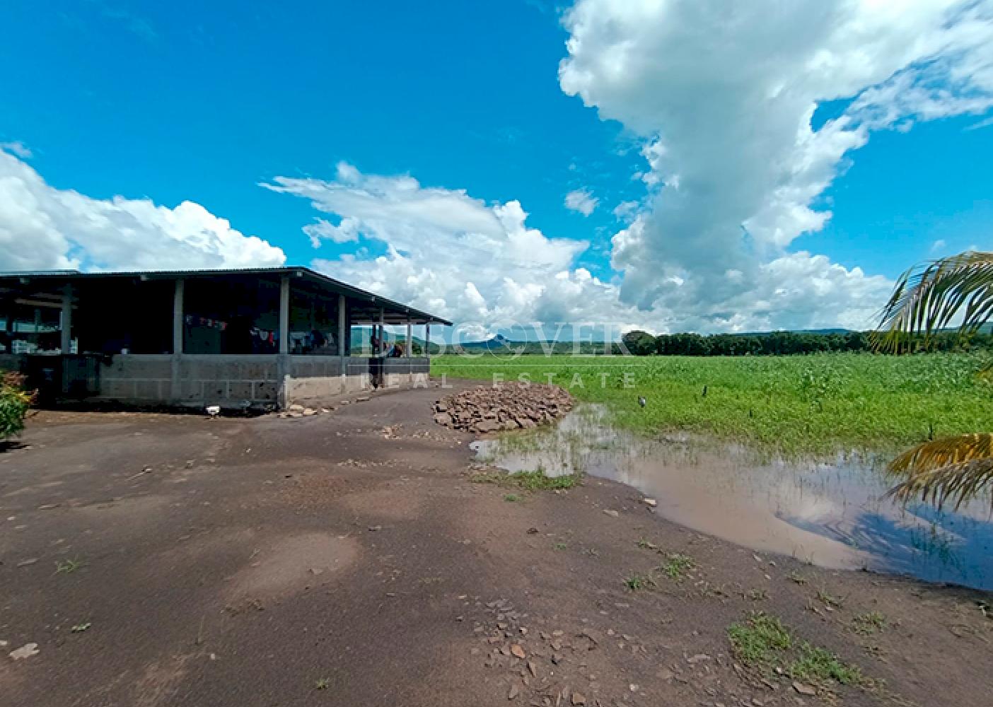 Farm for Sale – Chagüitillo Area, Sébaco