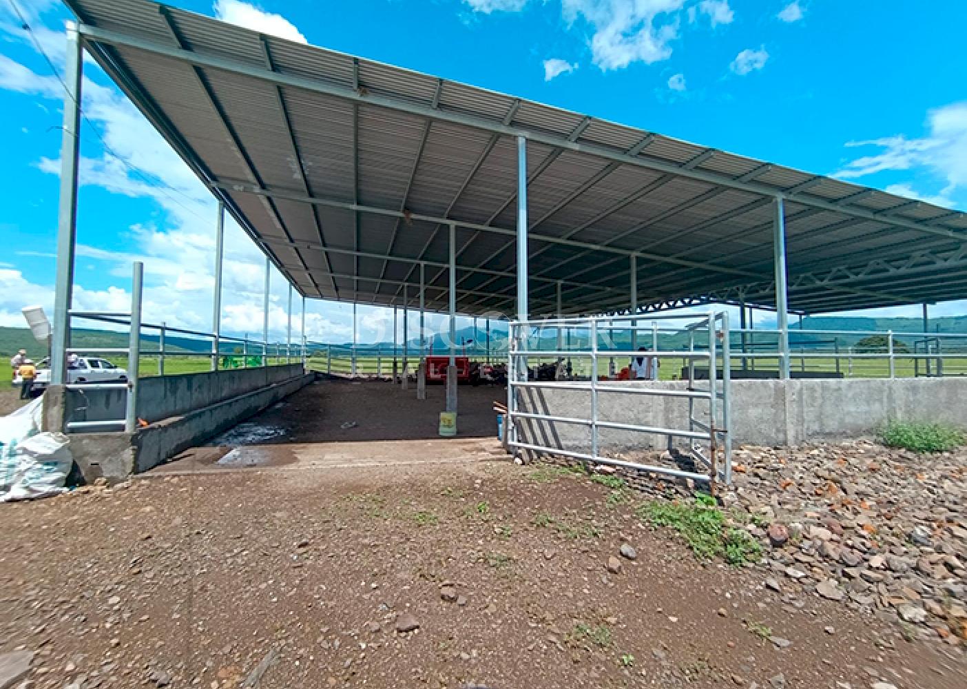  Farm for Sale – Chagüitillo Area, Sébaco