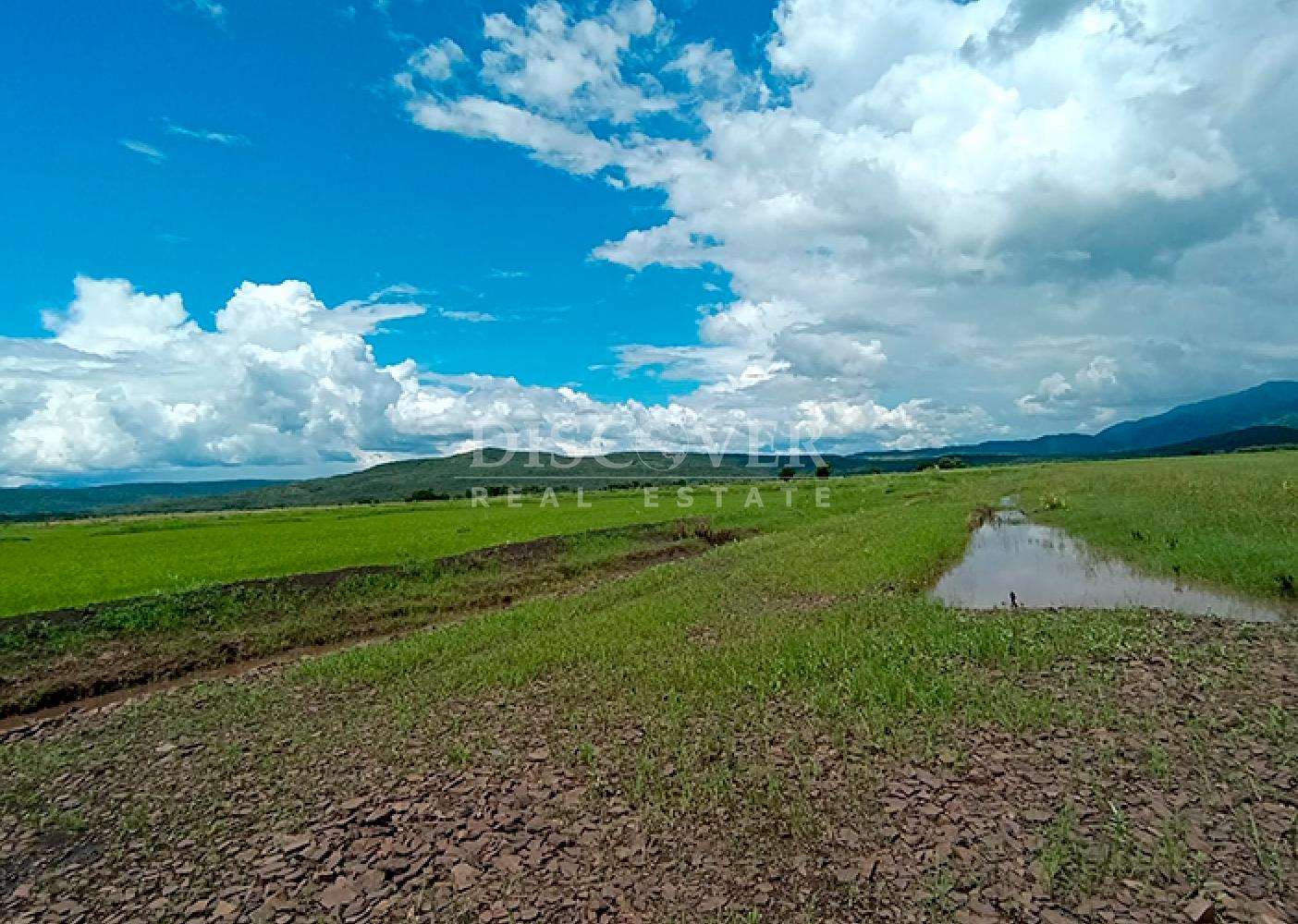  Farm for Sale – Chagüitillo Area, Sébaco