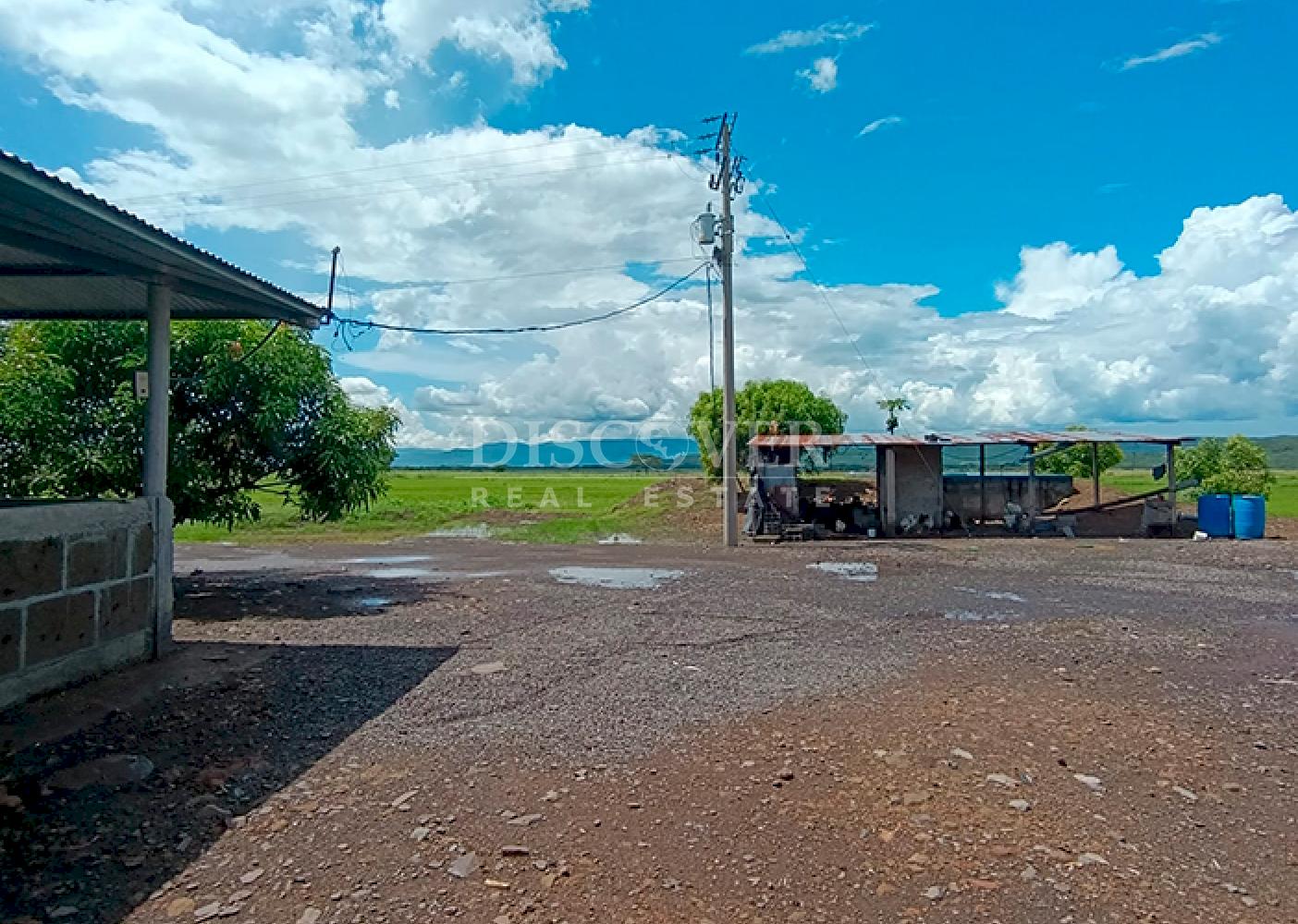  Farm for Sale – Chagüitillo Area, Sébaco