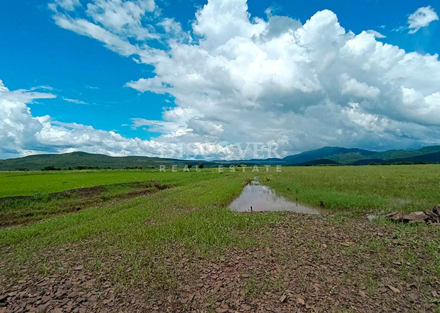  Farm for Sale – Chagüitillo Area, Sébaco
