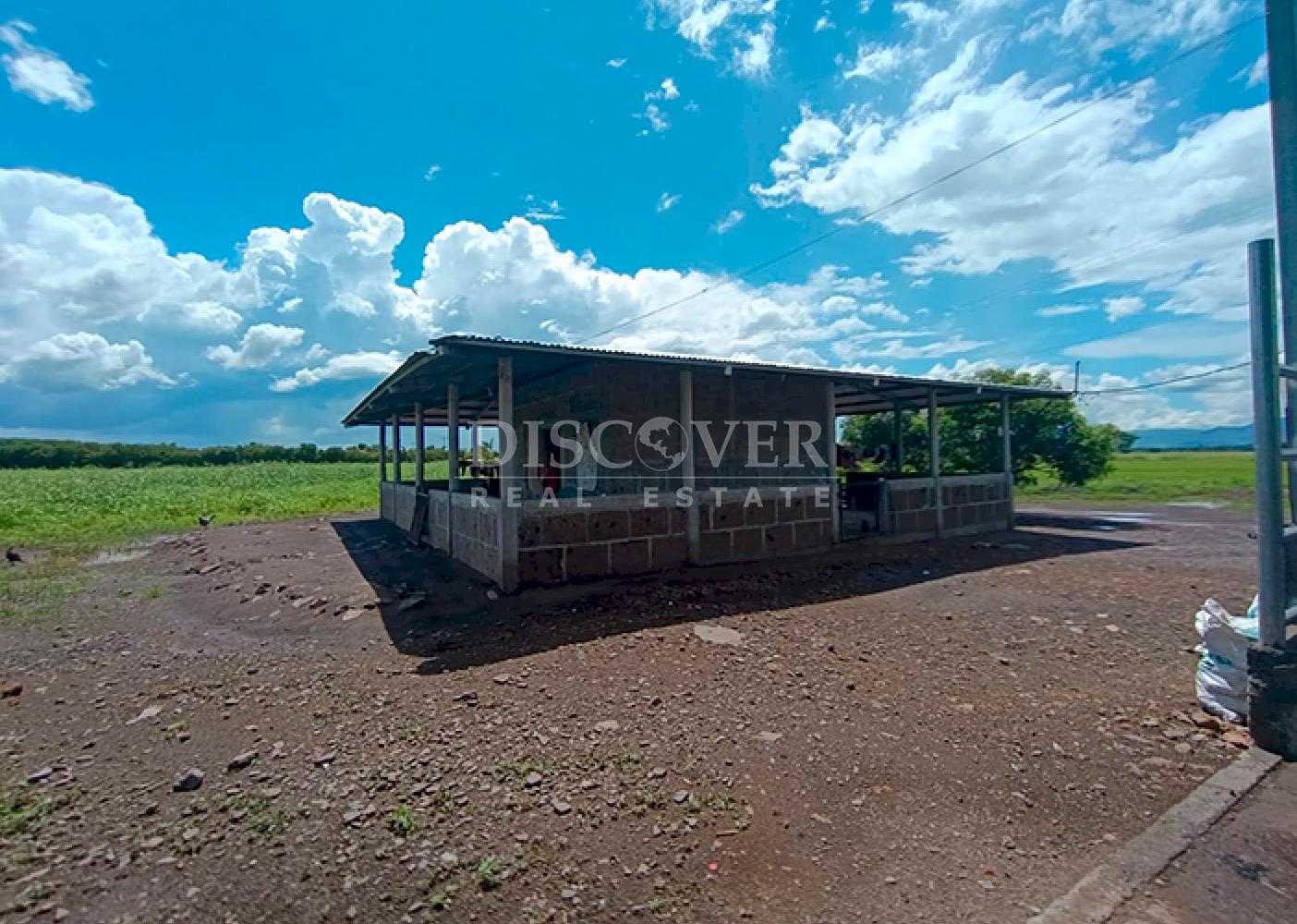  Farm for Sale – Chagüitillo Area, Sébaco