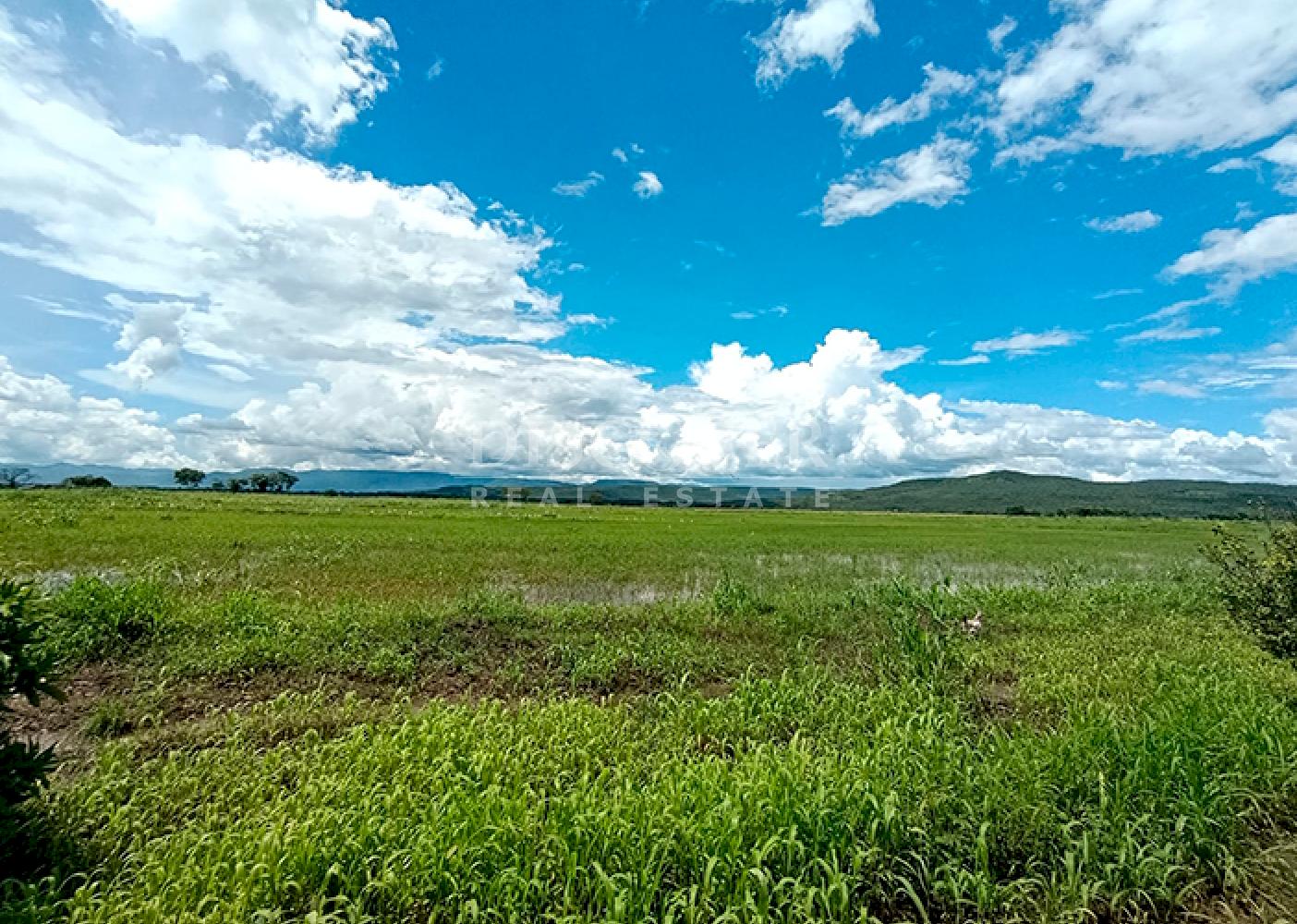  Farm for Sale – Chagüitillo Area, Sébaco