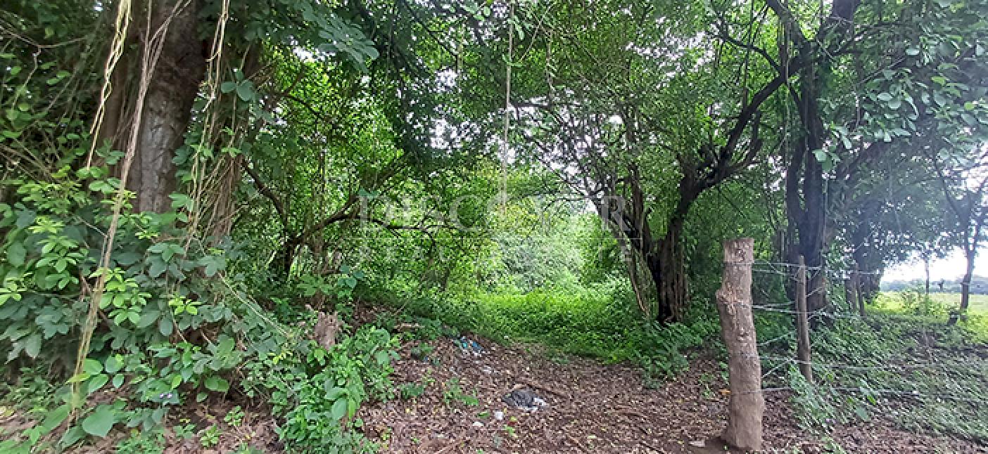 Lots for sale in Cofradía
