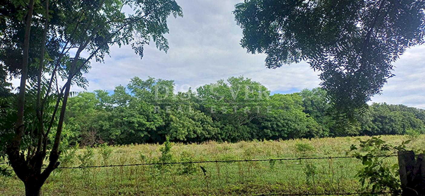 Lots for sale in Cofradía