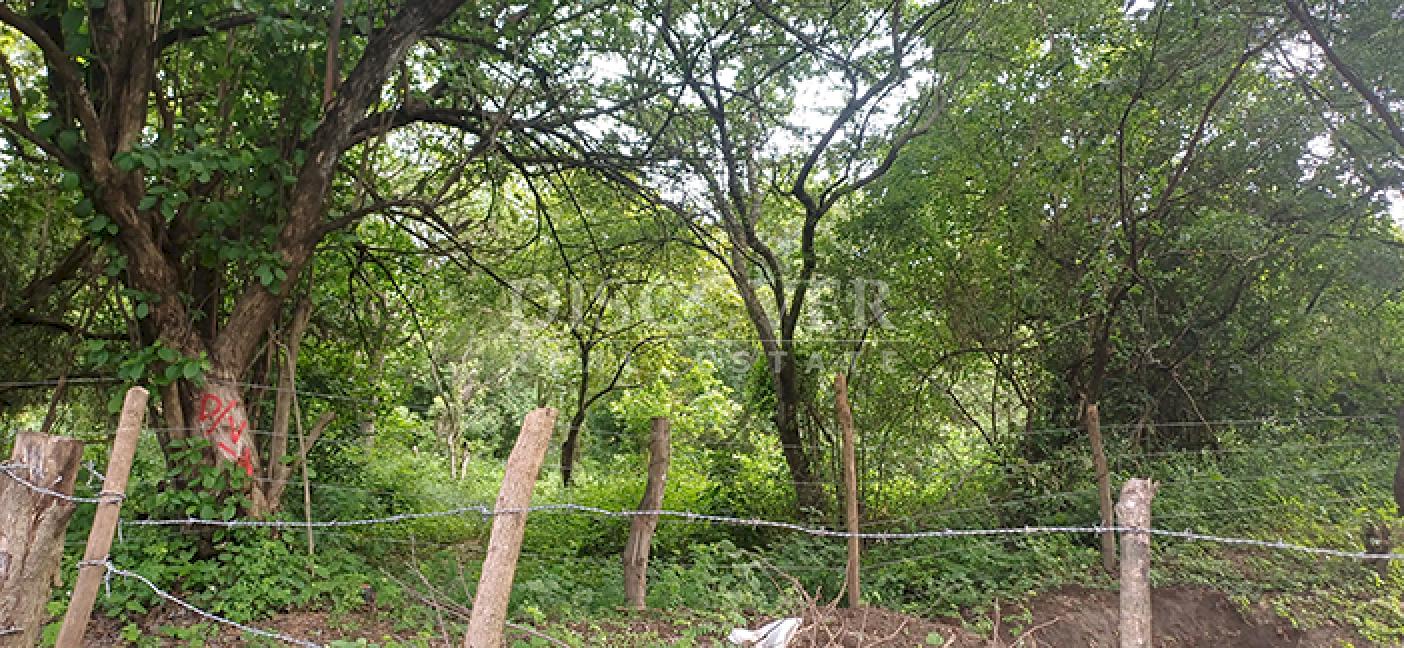 Lots for sale in Cofradía