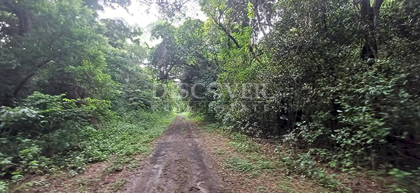 Lots for sale in Cofradía