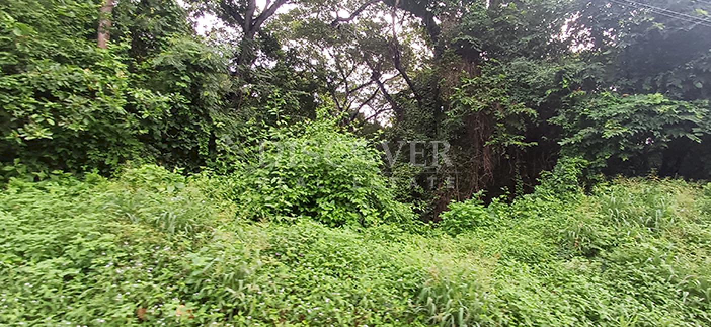 Lots for sale in Cofradía