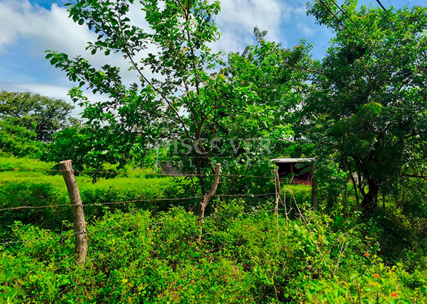  Flat land for sale in Moyogalpa 