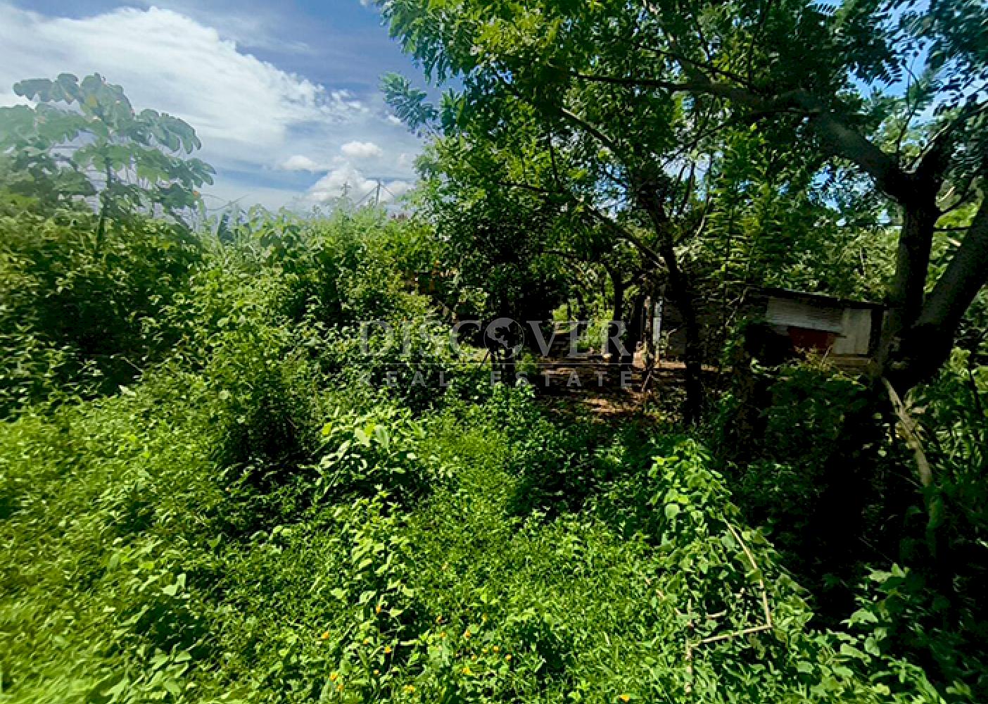  Flat land for sale in Moyogalpa 