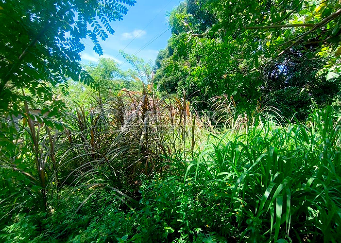 Land with house for sale on Ometepe Island