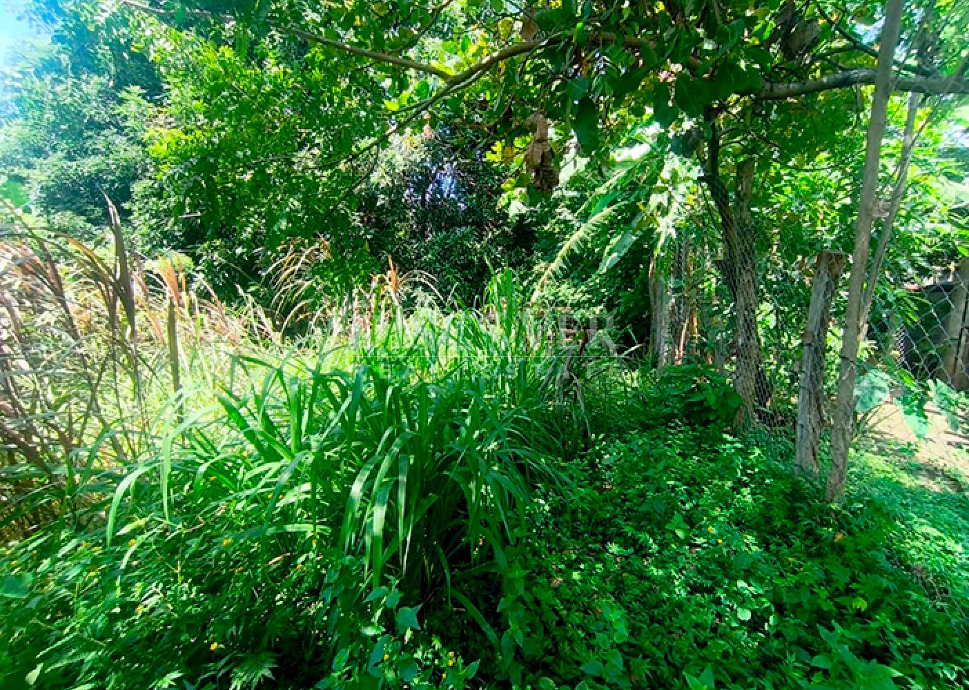 Land with house for sale on Ometepe Island