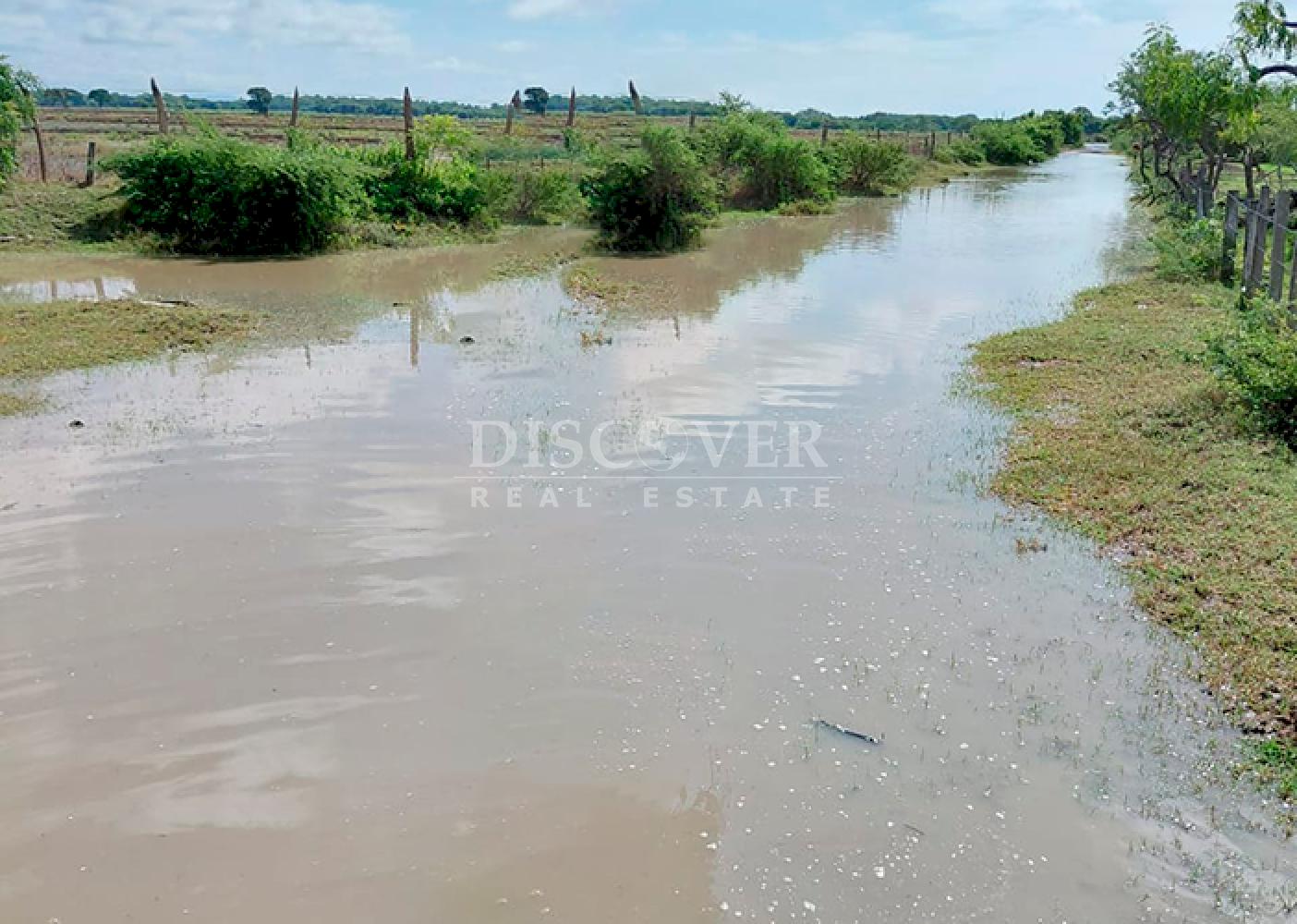  Agricultural property for sale/for rent in Malacatoya 