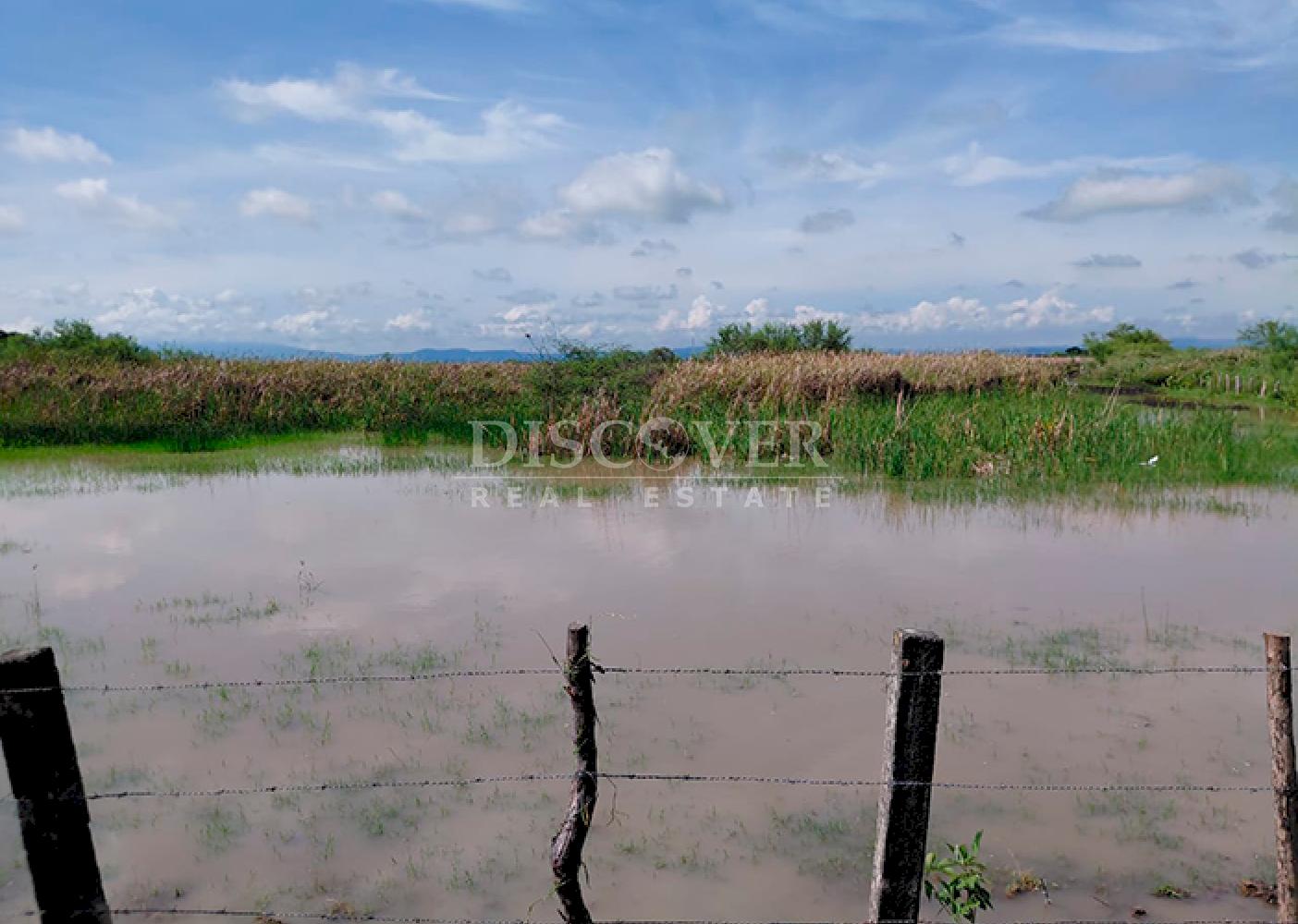  Agricultural property for sale/for rent in Malacatoya 