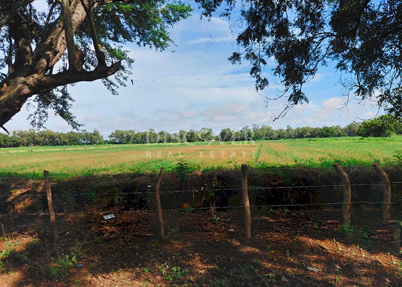  Agricultural property for sale/for rent in Malacatoya 