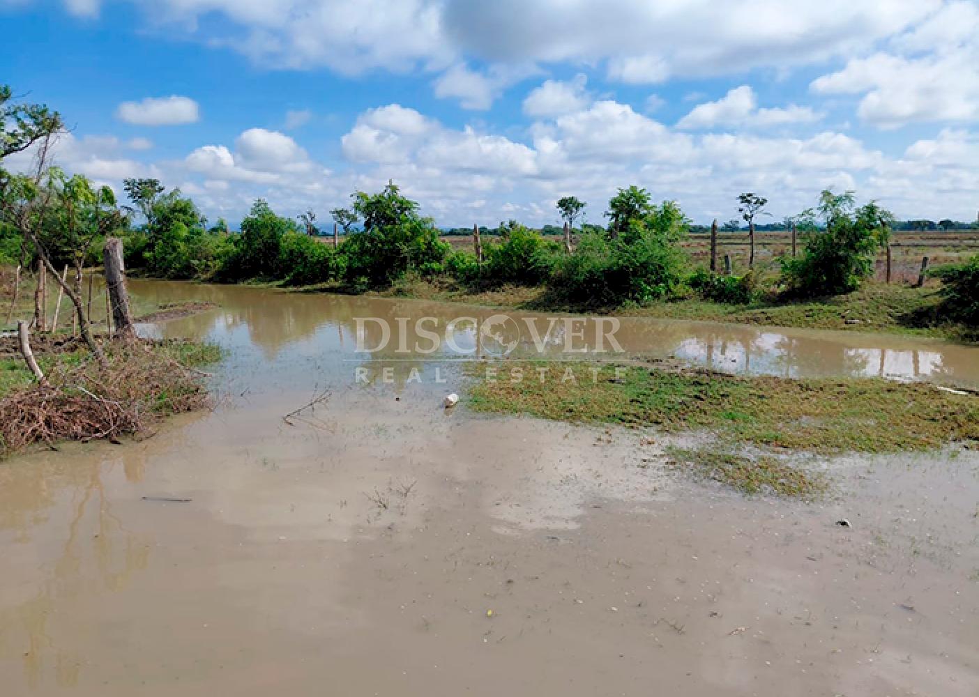  Agricultural property for sale/for rent in Malacatoya 