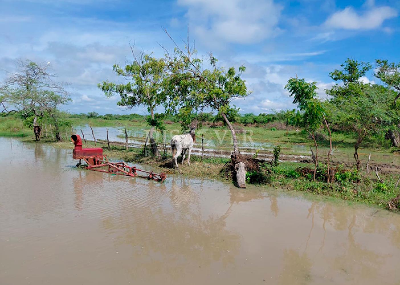  Agricultural property for sale/for rent in Malacatoya 