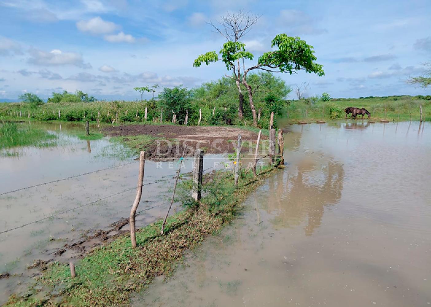  Agricultural property for sale/for rent in Malacatoya 