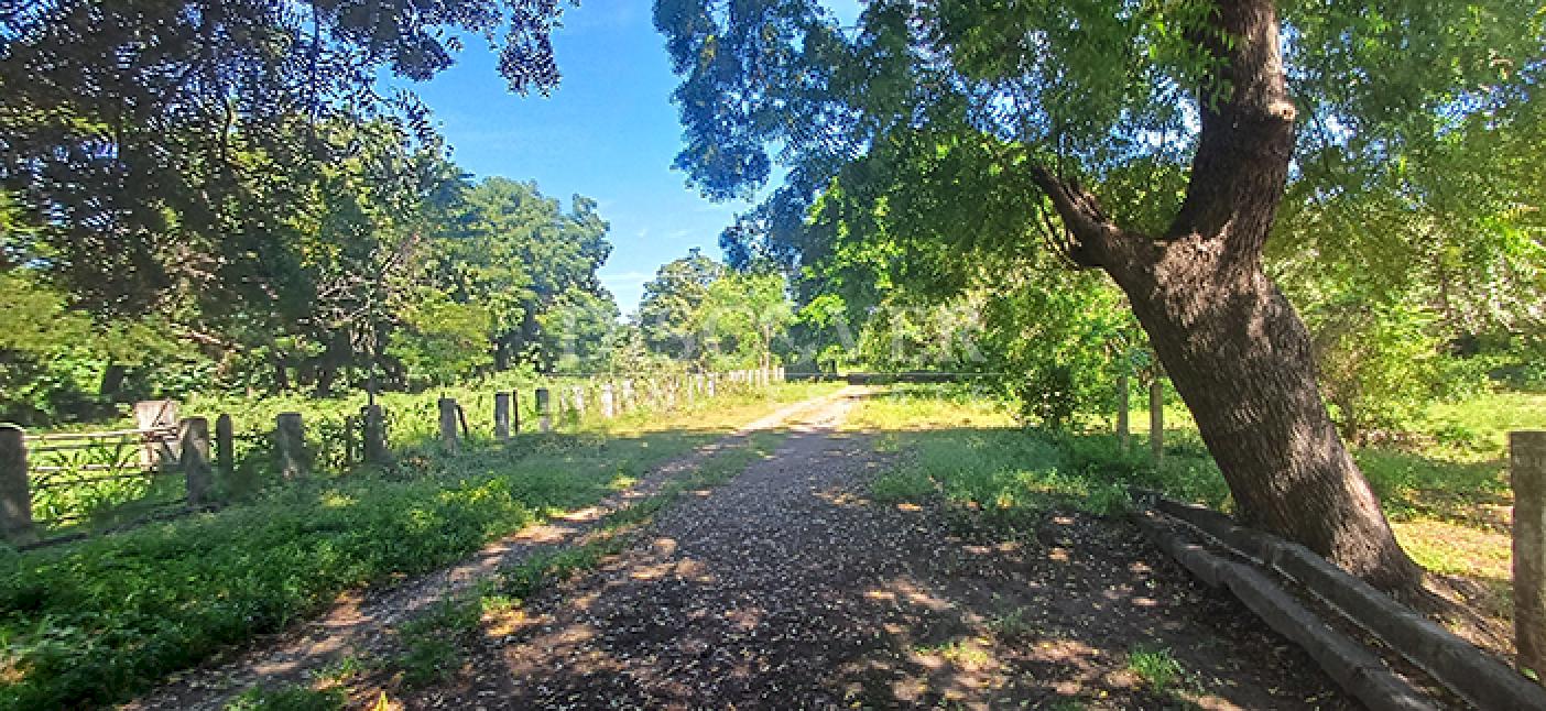 Agricultural property with aquaculture potential for sale on the shores of Lake Managua 
