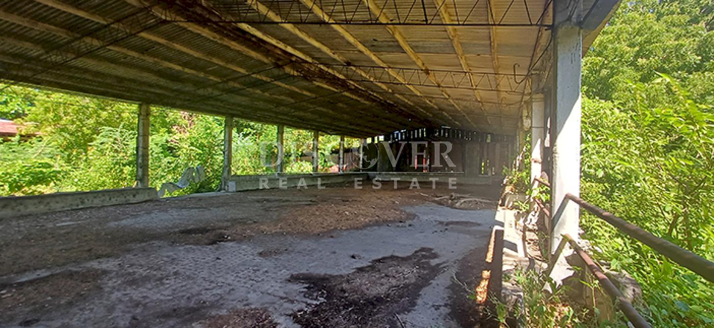 Agricultural property with aquaculture potential for sale on the shores of Lake Managua 