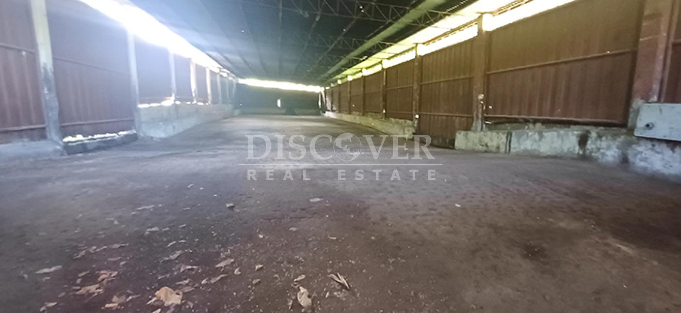 Agricultural property with aquaculture potential for sale on the shores of Lake Managua 