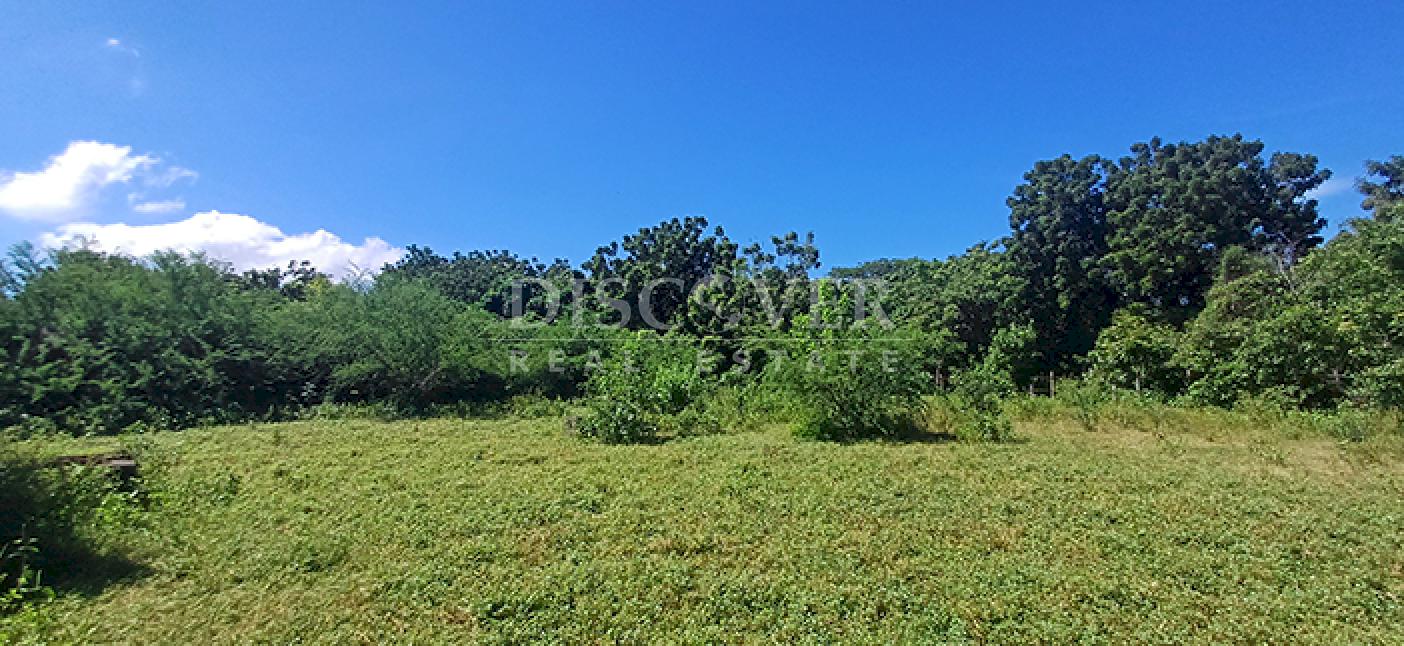 Agricultural property with aquaculture potential for sale on the shores of Lake Managua 