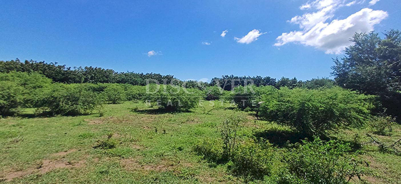 Agricultural property with aquaculture potential for sale on the shores of Lake Managua 
