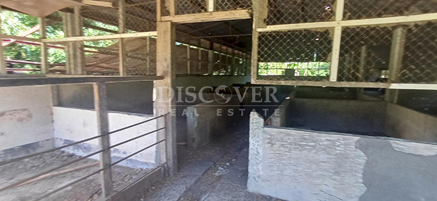 Agricultural property with aquaculture potential for sale on the shores of Lake Managua 