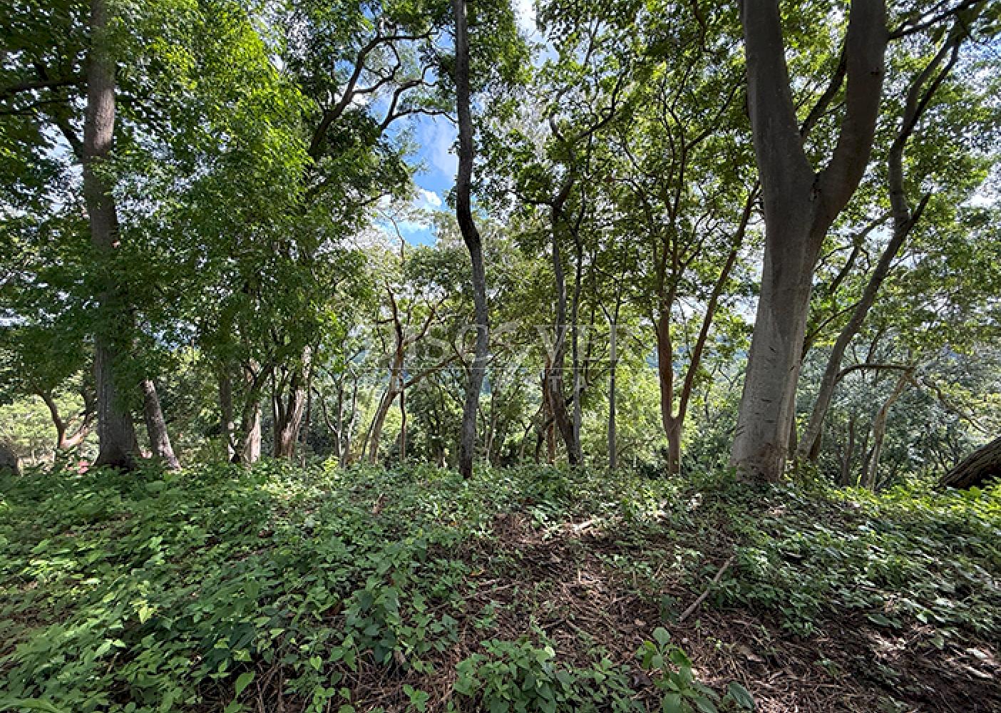  Land with city views for sale - Villa Fontana 