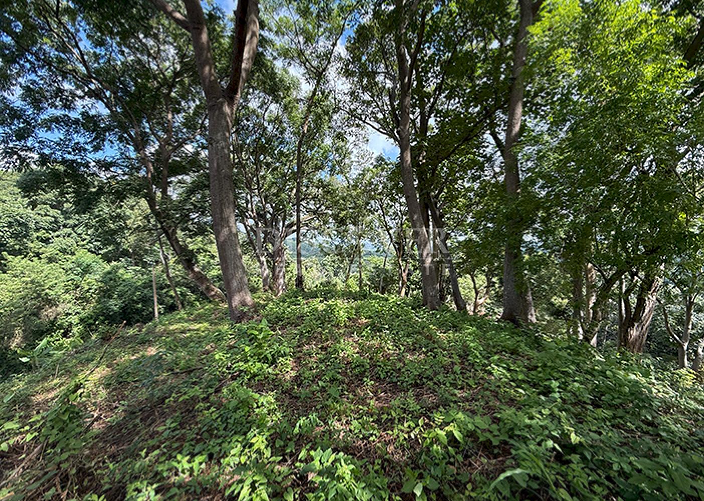  Land with city views for sale - Villa Fontana 