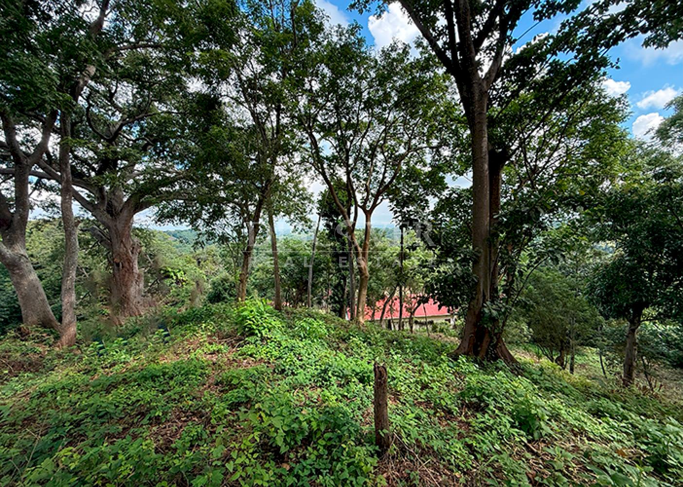  Land with city views for sale - Villa Fontana 