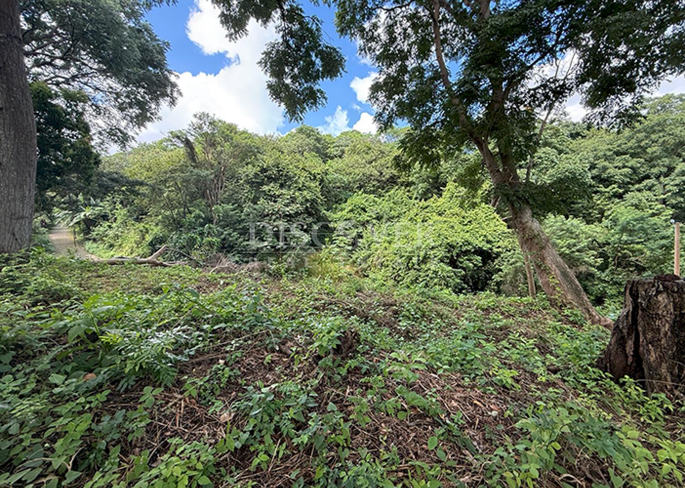  Land with city views for sale - Villa Fontana 