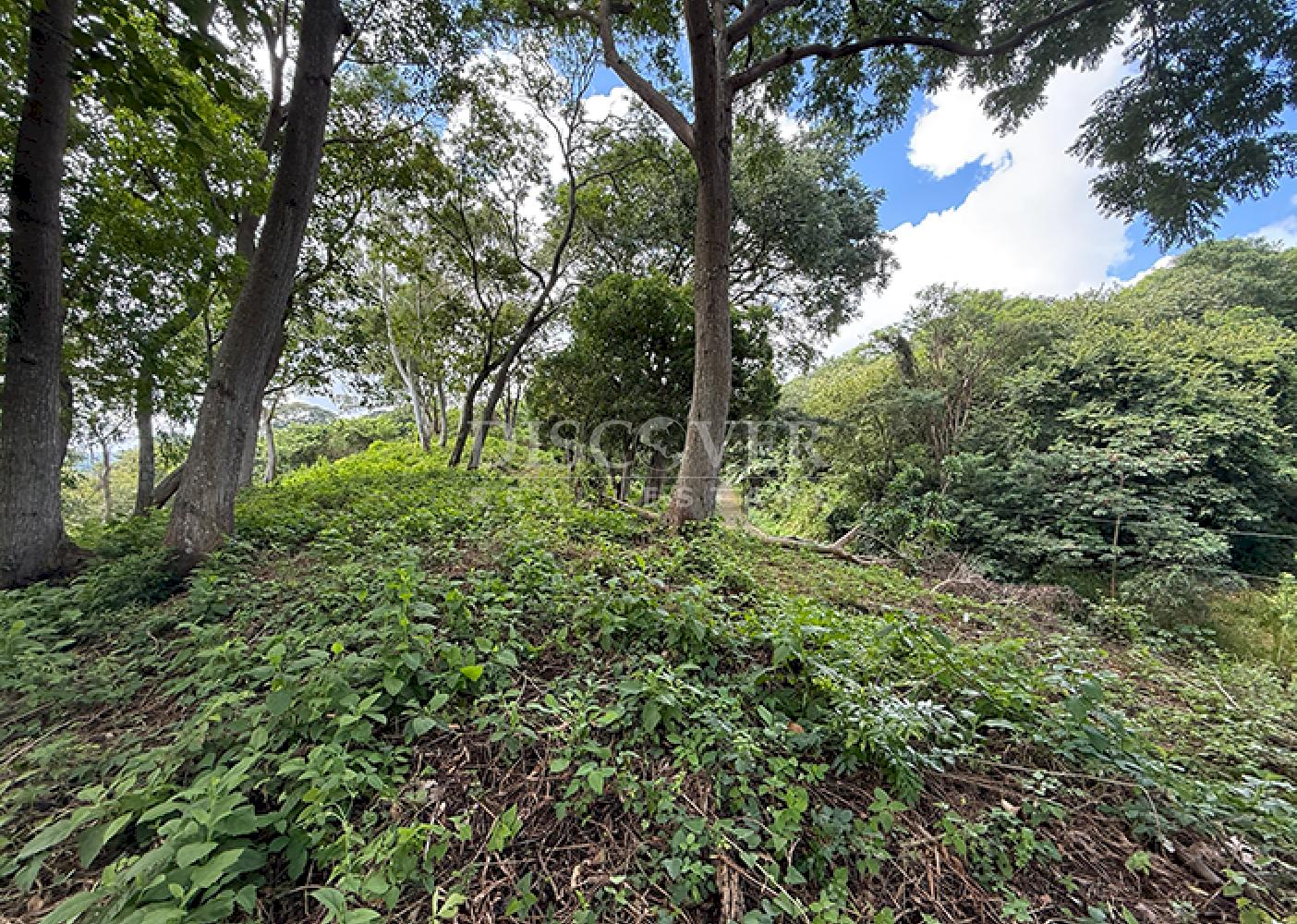  Land with city views for sale - Villa Fontana 