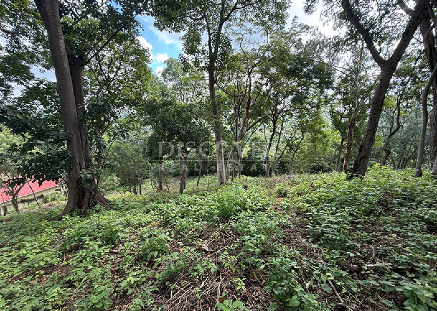  Land with city views for sale - Villa Fontana 