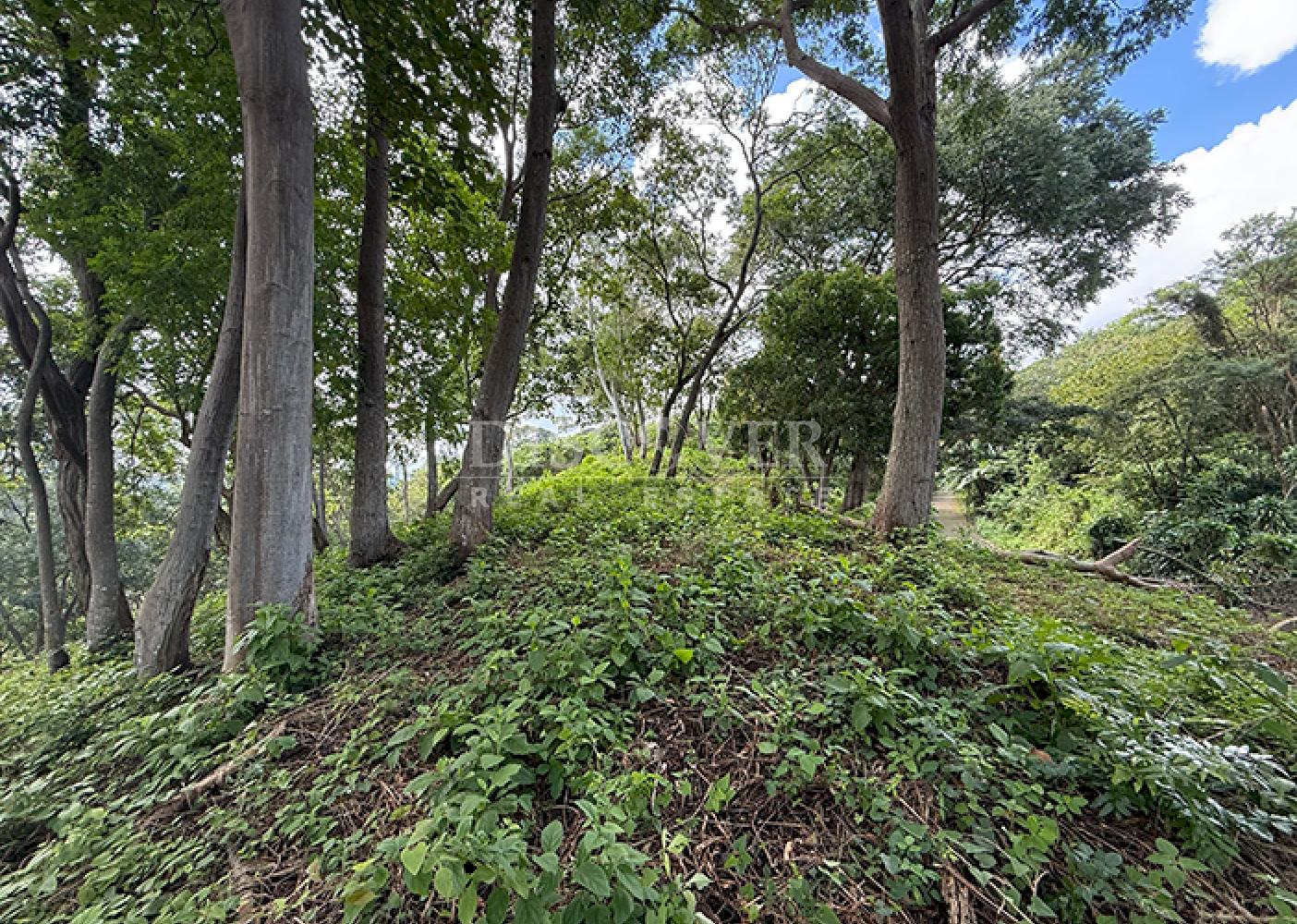  Land with city views for sale - Villa Fontana 