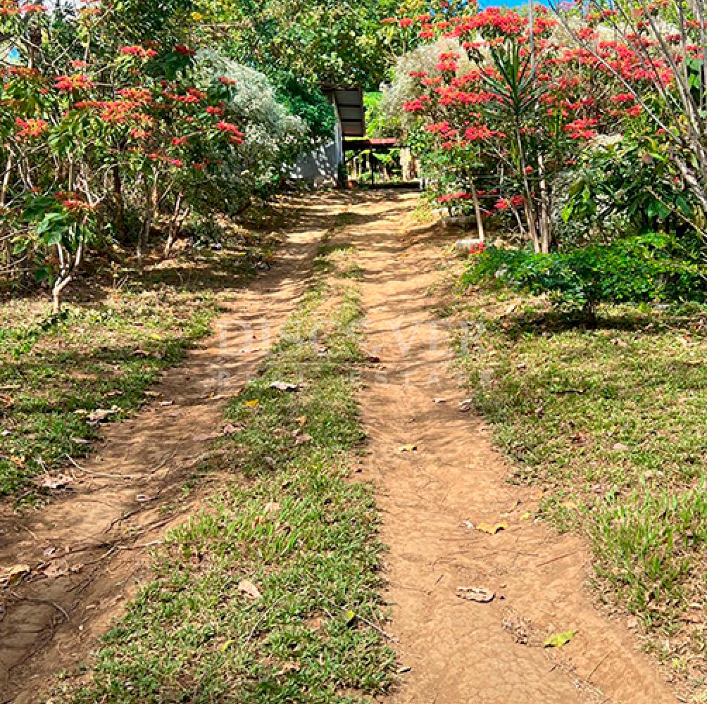  Lots for sale in Santo Domingo 