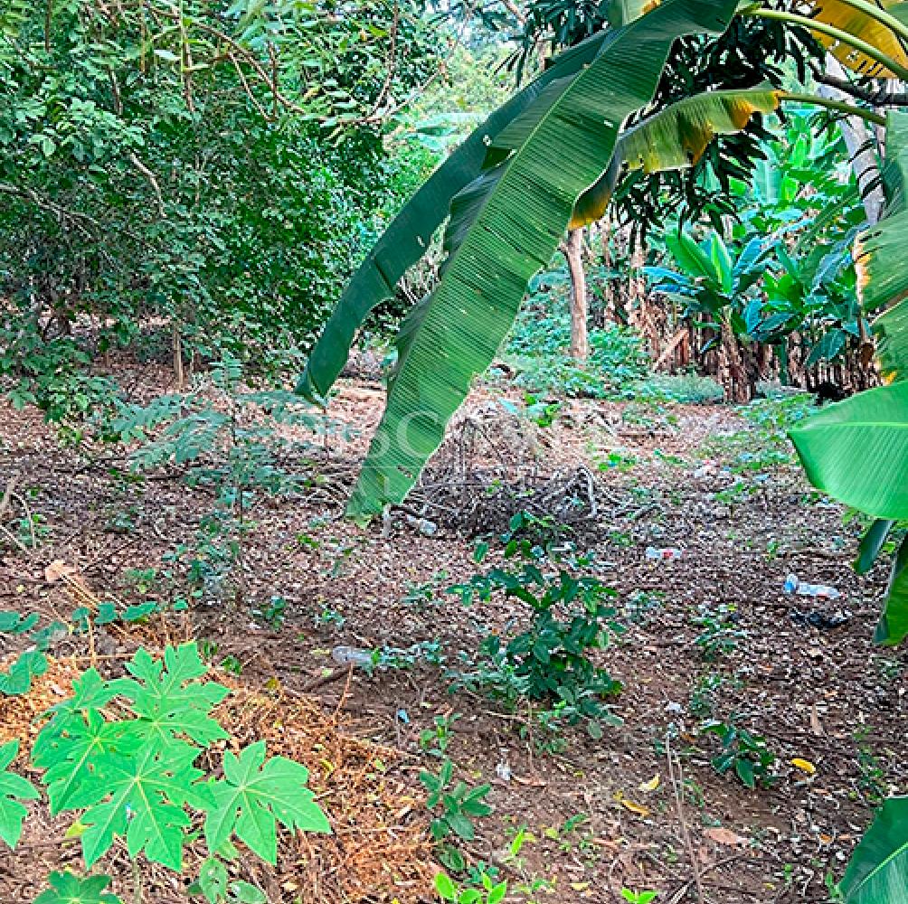  Lots for sale in Santo Domingo 