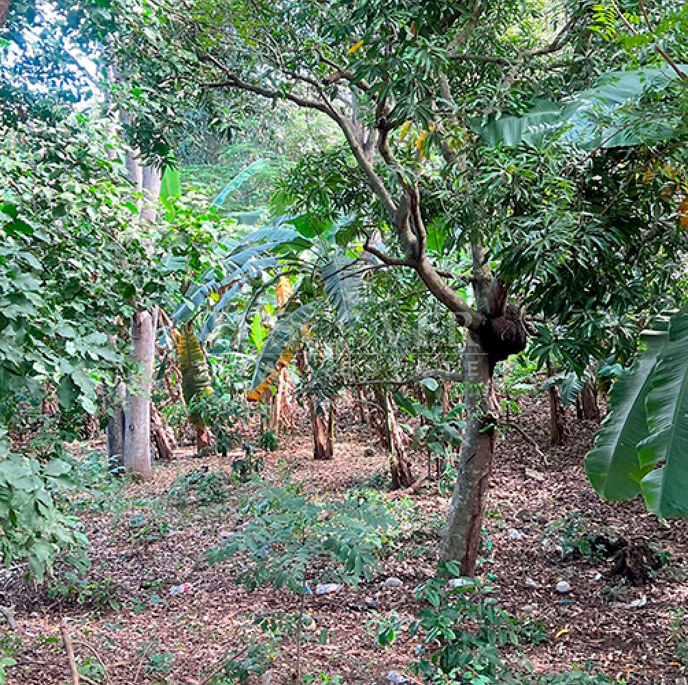  Lots for sale in Santo Domingo 