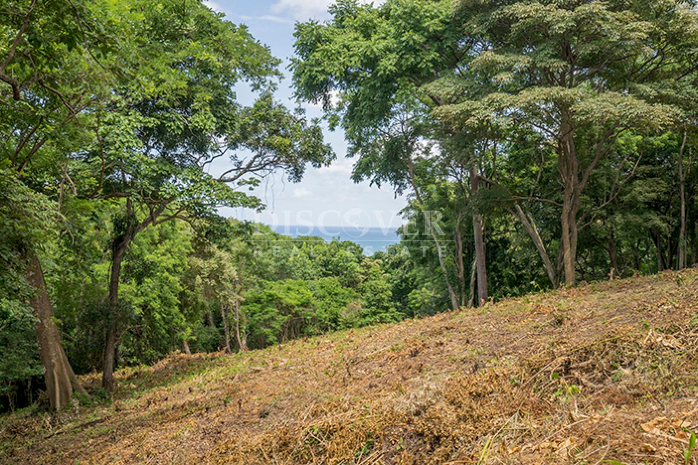 Beach lot for sale in Rancho Santana