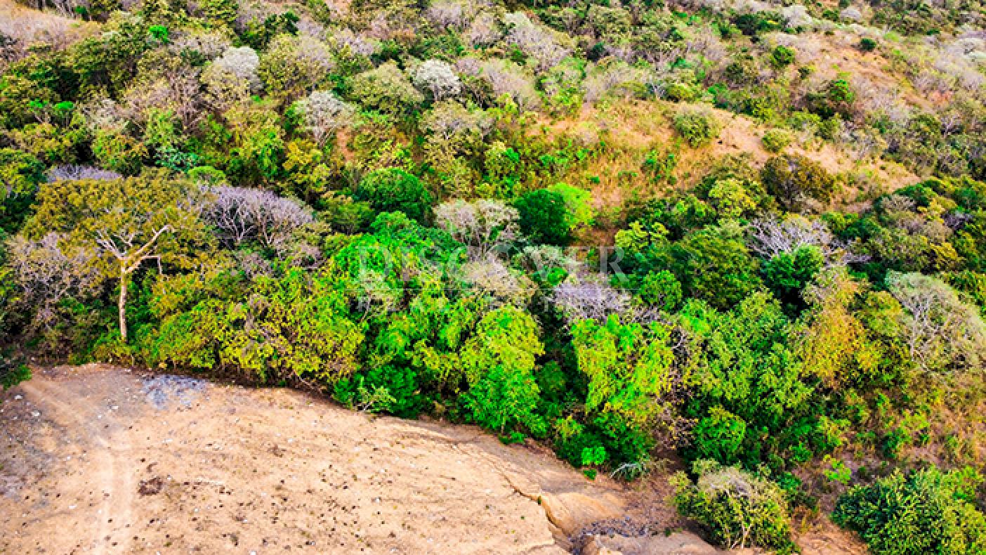 Land for sale in Rivas on the main road